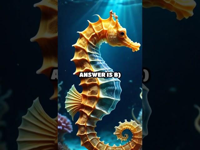 The Secret Lives of Seahorses Quiz