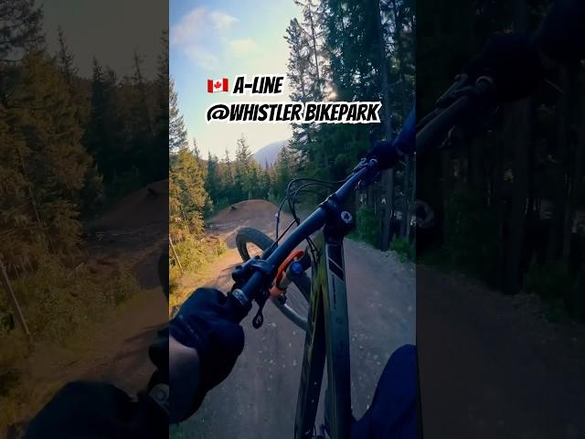  Daydreamin‘ of A-Line #whistlerbikepark #freeridemtb #mtb #gopropov