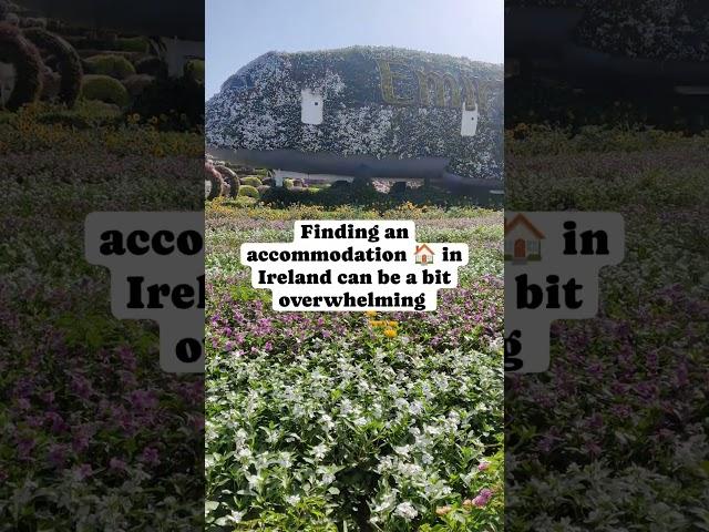 Accommodation for International Students in Ireland.Checkout the description#studyinireland #ireland