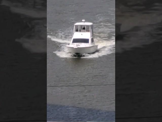 Boat Cruising the Harlem River #Shorts #Boat #Harlem @EIGHTYSGUY