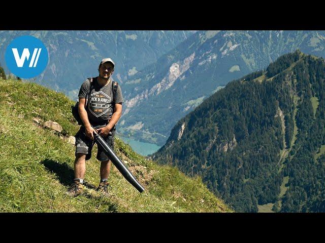 Tradition am Steilhang - Die Schweiz und ihre Wildheuer (360° - GEO Reportage)