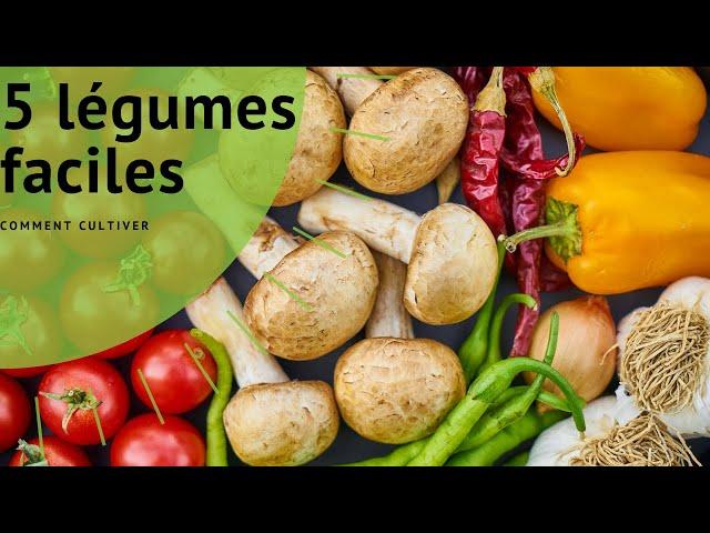 5 LÉGUMES FACILES A CULTIVER !
