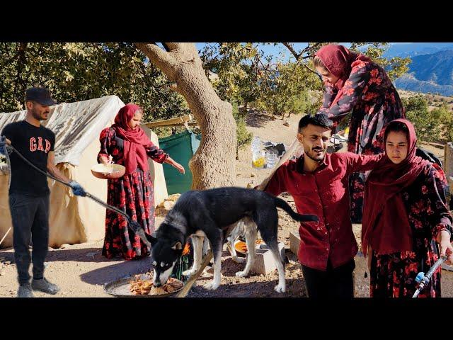 Nomadic life: building stairs for a nomadic house: building a traditional style nomadic house