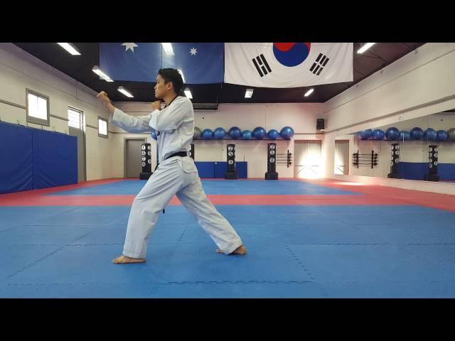 Taeguk 8 "Discipline" Grading Level