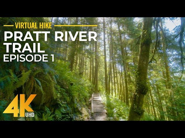 4K Sunny Summer Day Forest Walk (7 HRS) Hike along Pratt River Trail (Summer, 2022) - Part 1