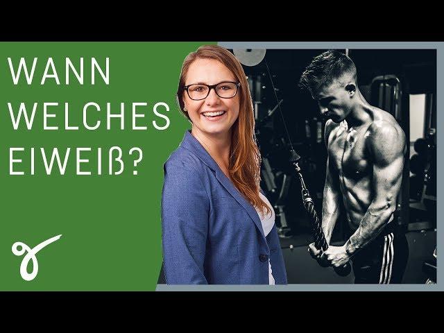 Casein, BCAA, Whey - Wann sollte ich was nehmen? | Gerne Gesund mit Dr. Ambrosius