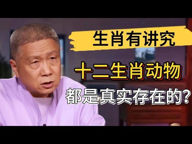 十二生肖中的動物都是真實存在的？歷史其實存在于未來？#觀復嘟嘟 #馬未都 #圆桌派