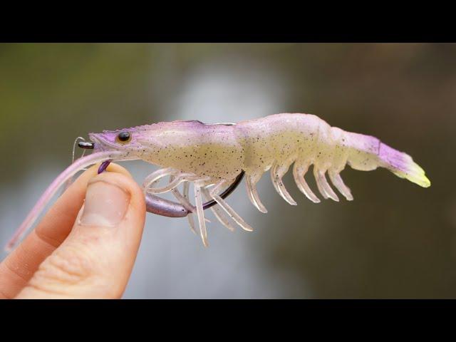 Fishing The Mangrove Edges With Realistic Prawn Lures!