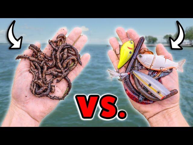 Live Bait & Artificial Lures… Which One Is Best?