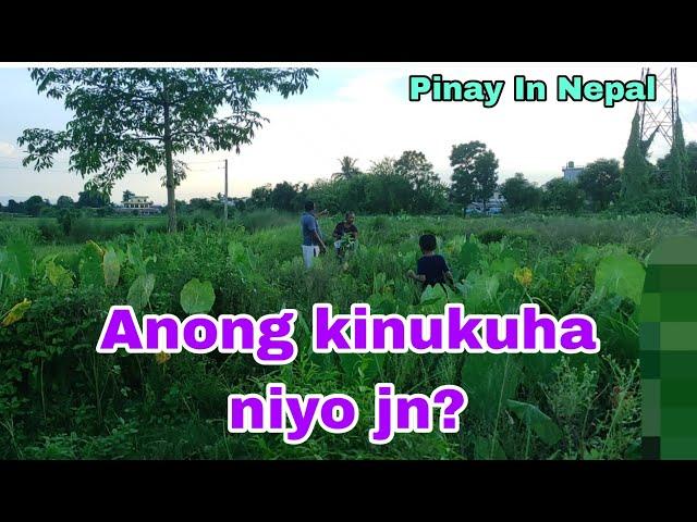 anong kinukuha niyo jn?