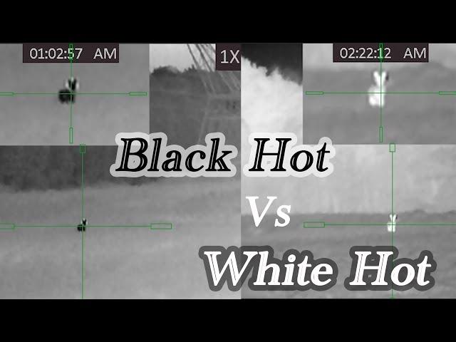 AGM rattler ts-35 384 | White Hot vs Black Hot! Coyote Hunting