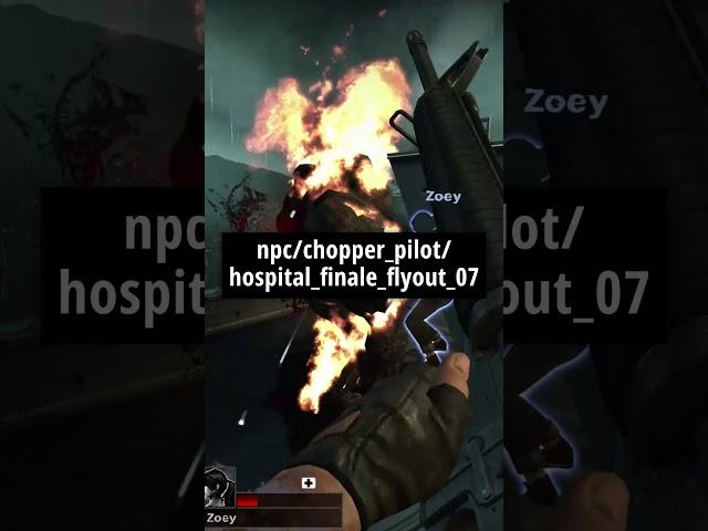 Left 4 Dead Short - No Mercy's Pilot's Cut Final Words