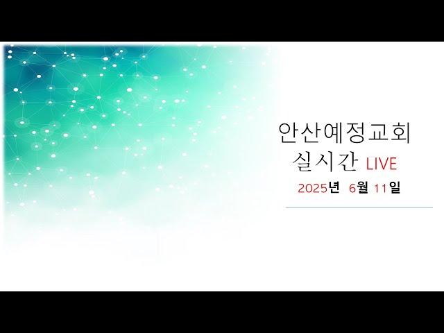 안산 예정교회 수요 예배 #오직예수 #오직은혜 #오직말씀 #오직성령 #오직하나님께영광