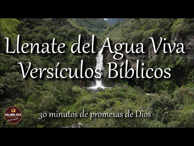 Versículos  Bíblicos que te bendecirán | Biblia hablada | Bible Audio