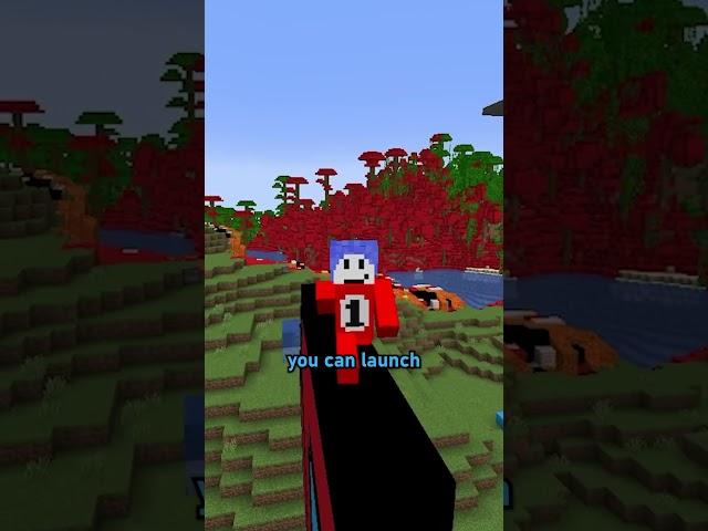 Bedrock Edition's SECRET Feature
