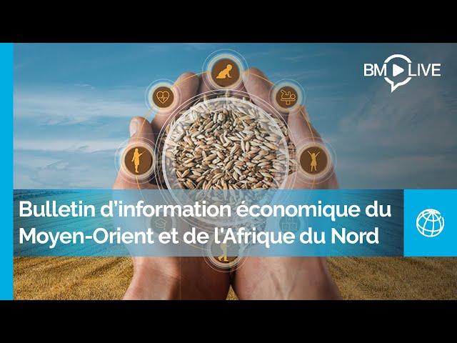 Destins bouleversés : Bulletin d’information économique du Moyen-Orient et de l’Afrique du Nord