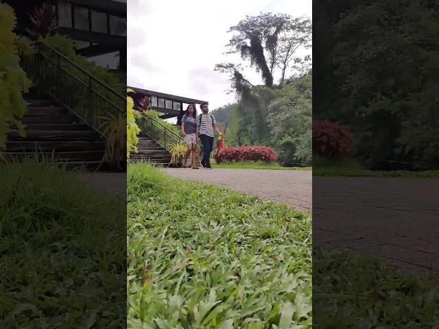 Seethawaka botanical garden  #youtubeshorts #nature  #couplegoals #seethawaka #tiktok #lovestory