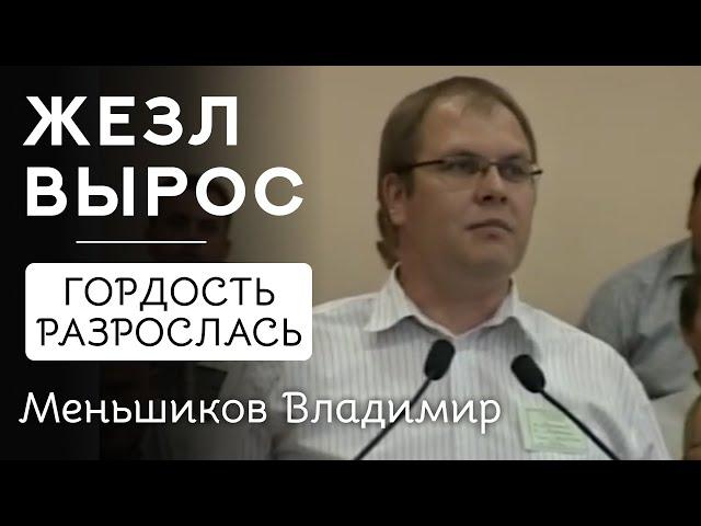 Меньшиков Владимир | Жезл вырос - гордость разрослась | Проповедь на ХIII съезде ОЦХВЕ России