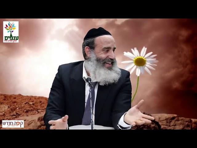 הרב פנגר | לפרוח גם במדבר