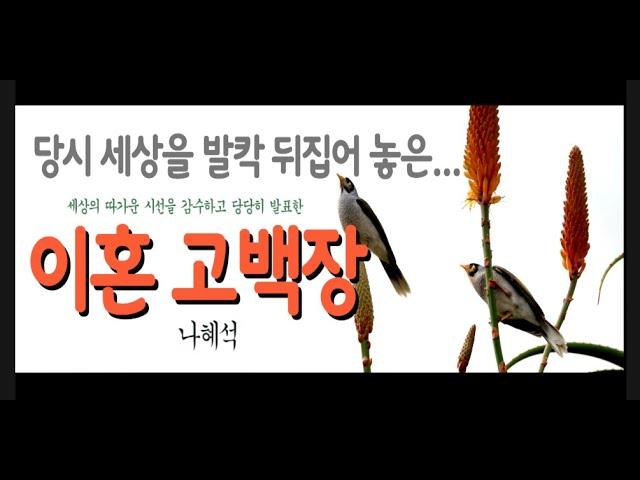 [오디오북] 세상을 발칵 뒤흔들었던 그녀의 '이혼 고백장(이혼 고백서)' 전문을 들어봅니다.