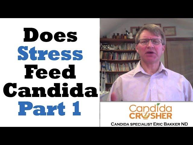 Does Stress Feed Candida? - Part 1