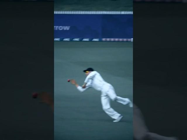 Great catch by Glenn  #GlennPhillips #BLACKCAPS