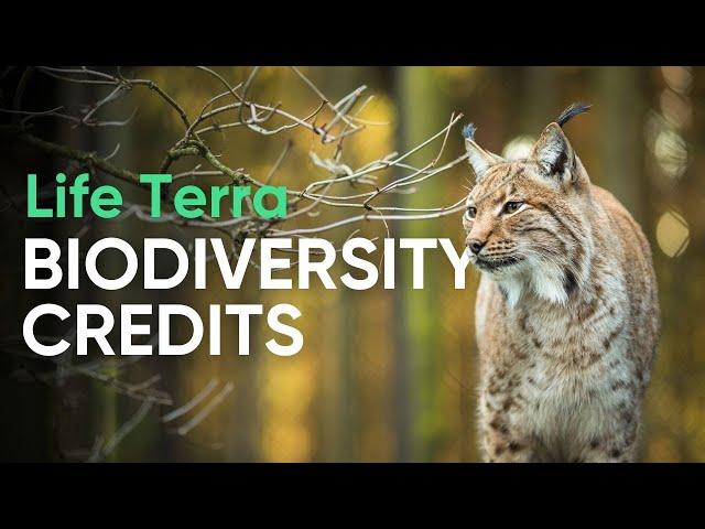 Life Terra's Biodiversity Credits & Ecosystem Restoration (Explained)