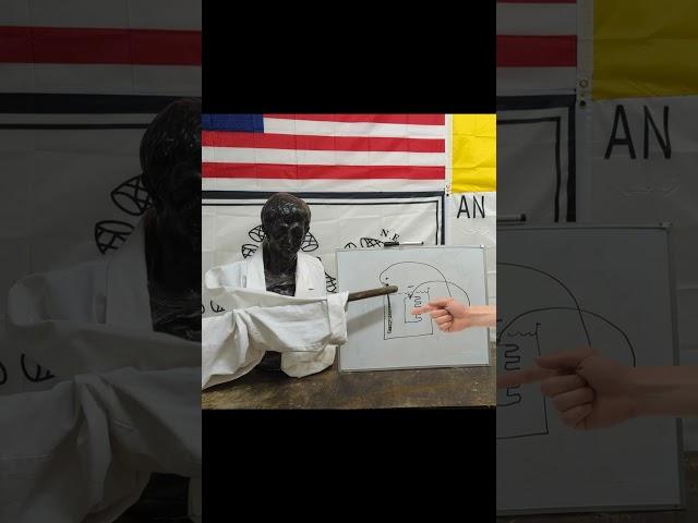 Caesar Explains Electrolysis in 46 seconds