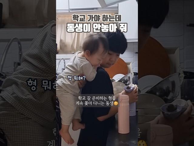 100만뷰형, 학교  꼭 가야 해? 등교준비 내내 따라 다니는 동생 #형제 #육아 #늦둥이