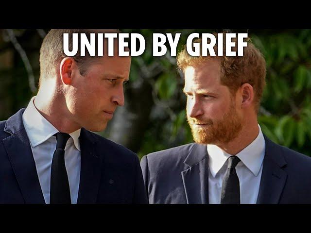 Warring William & Harry REUNITE at uncle's funeral after Duke of Sussex makes secret dash to UK