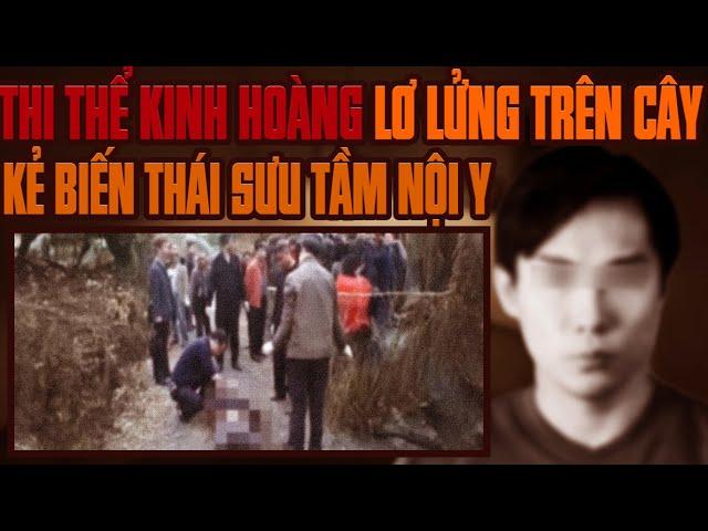 Kỳ Án Trung Quốc:  Thi Thể Lơ Lững Trên Cây & Nhưng Vụ Mất Tích Bí Ẩn