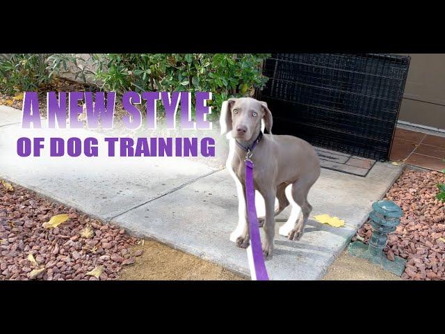 A NEW STYLE OF DOG TRAINING