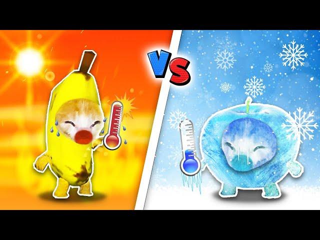 Hot vs. Cold: The Epic Battle of Banana Cat and Apple Cat!  Baby Banana Cat Compilation 