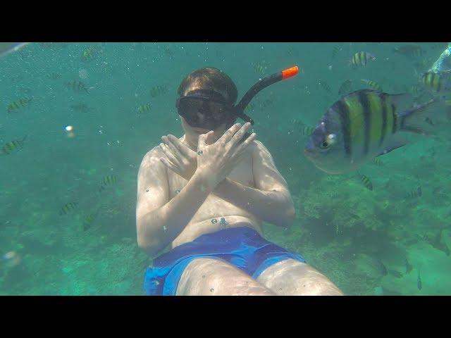 Koh Phi Phi and Maya Bay - Saunders and Ollie