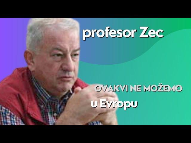 Ovakvi ne možemo u Evropu - profesor Zec