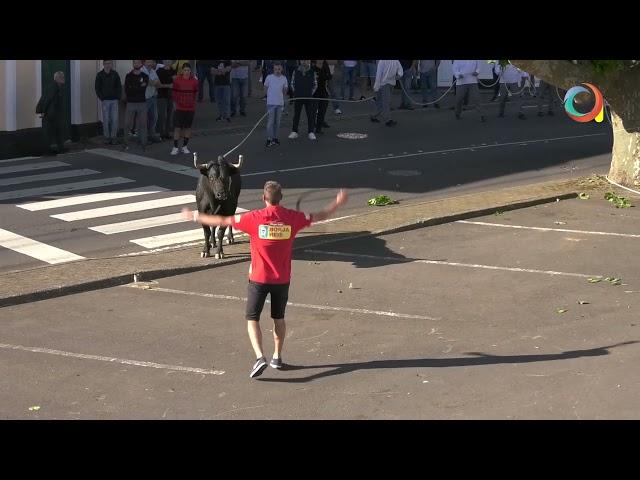 Tourada em Santo Amaro