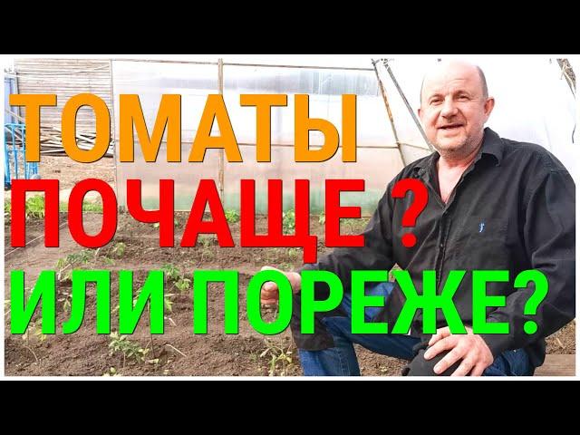 ТоматПомидор - Идеальное расстояние при посадки. На каком расстоянии сажать Помидоры куст от куста?