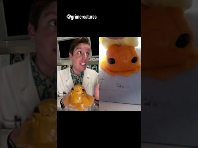 SCP-999's spooky new friend! #drsherman #site42 #scp