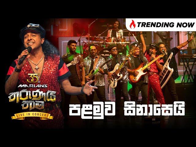 Palamuwa Sinasei (පළමුව සිනාසෙයි) - Nalin Perera | Marians Tharunai Thama Live in Concert 2023