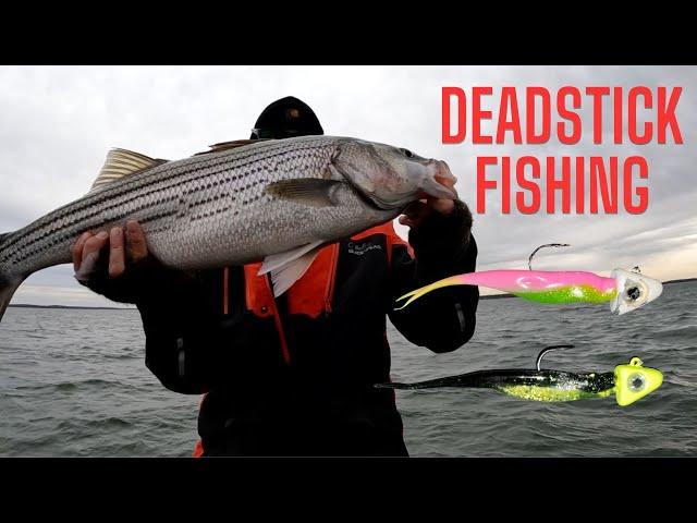 Deadstick Fishing for Stripers on Lake Texoma | How to Deadstick Fish