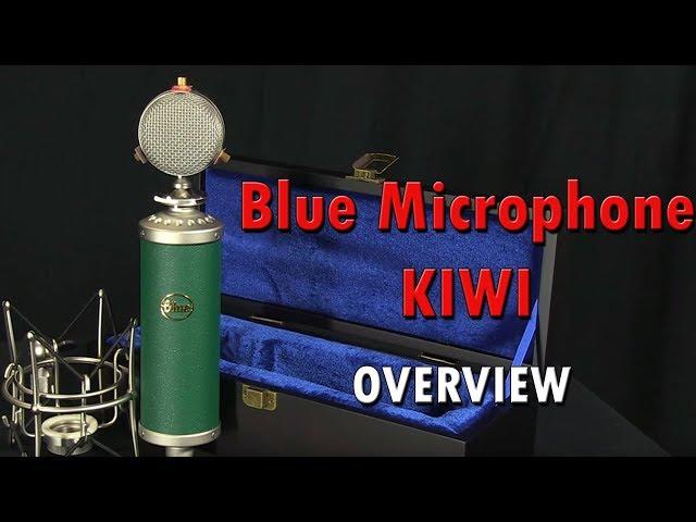 Blue Microphone Kiwi Overview - Review - Pure Wave Audio