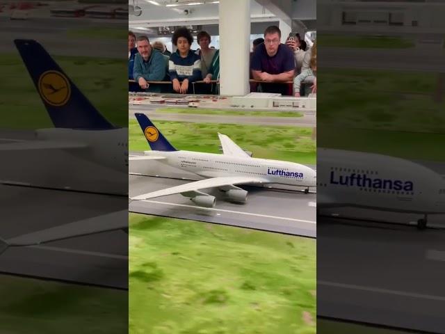 Lufthansa Airbus A380 take-off ️ #airplane #plane #planespotting #airbus #aviation #lufthansa