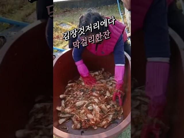 #막걸리한잔 #뜸부기tv