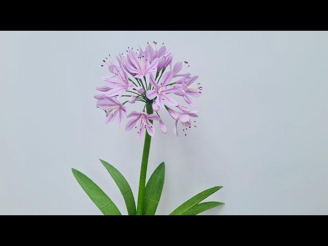 How to make African Lily flowers from crepe paper / Paper Flower / Góc nhỏ Handmade