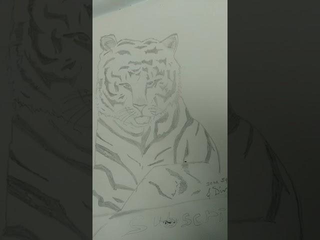 Tiger cub  Drawing from Done by Divya 2021  short # link given in description