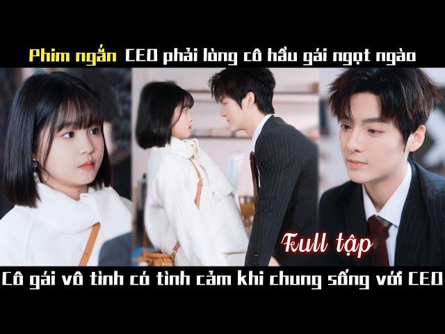 Cô gái gia cảnh nghèo khó, nhờ vào đồng lương ít ỏi, bất ngờ chiếm được tình cảm của CEO.