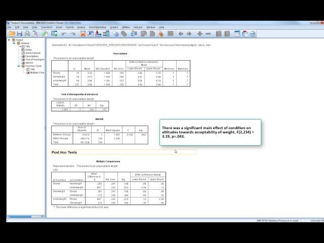 univariate ANOVA in SPSS