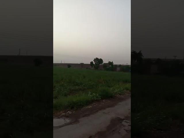 Toba Tek Sing