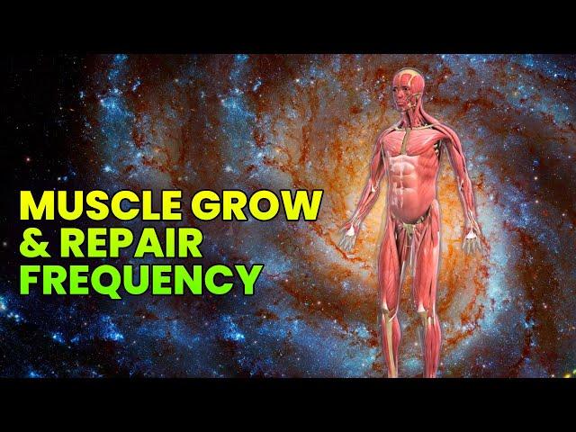 Muscle Growth Subliminal: Muscle Healing Frequency, Muscle Repair & Recovery Music