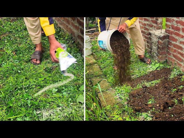 Do this before planting and your garden will explode with growth in no time